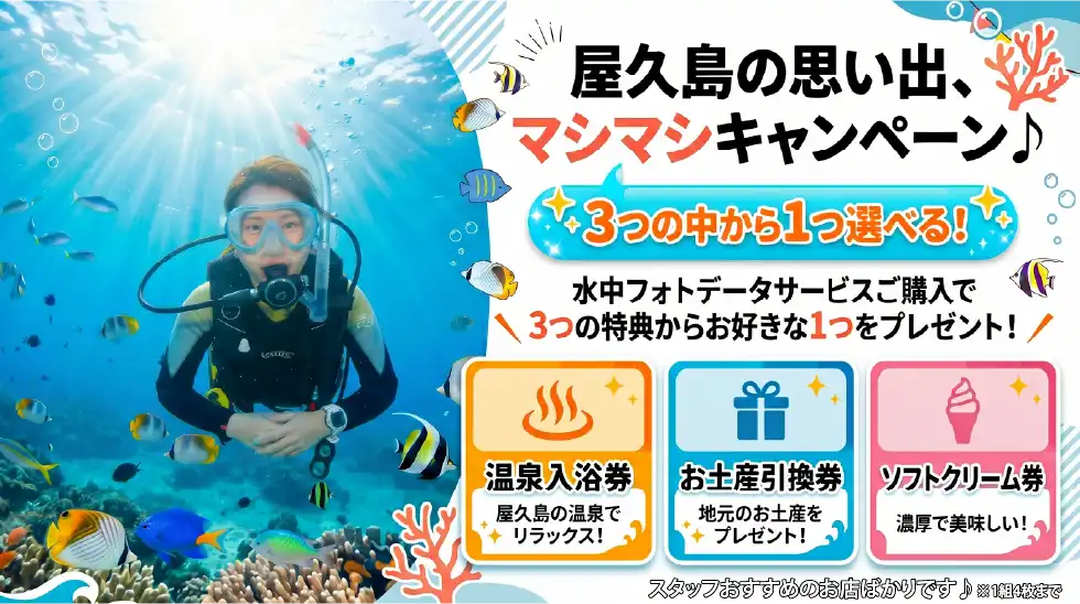屋久島の思い出、マシマシキャンペーン♪