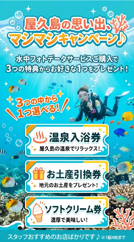 スノーケリング – 屋久島ダイビングガイド エバーブルー屋久島