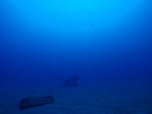 エバーブルー屋久島 本日の海