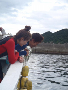 エバーブルー屋久島 本日の海