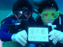 エバーブルー屋久島 本日の海