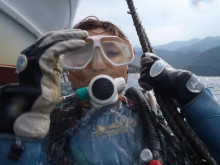 エバーブルー屋久島 本日の海