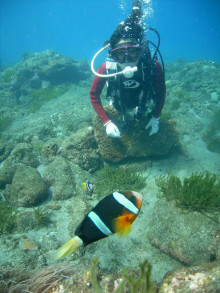 屋久島ダイビングならエバーブルー屋久島 ◆今日の海ログ◆