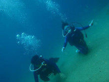 屋久島ダイビングならエバーブルー屋久島 ◆今日の海ログ◆