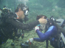 屋久島ダイビングならエバーブルー屋久島 ◆今日の海ログ◆