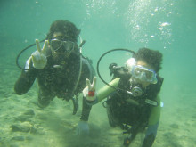 屋久島ダイビングならエバーブルー屋久島 ◆今日の海ログ◆