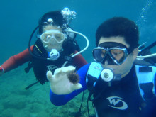 屋久島ダイビングならエバーブルー屋久島 ◆今日の海ログ◆
