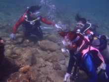 屋久島ダイビングならエバーブルー屋久島 ◆今日の海ログ◆