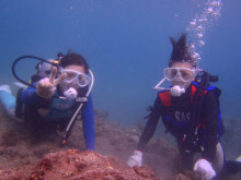 屋久島ダイビングならエバーブルー屋久島 ◆今日の海ログ◆